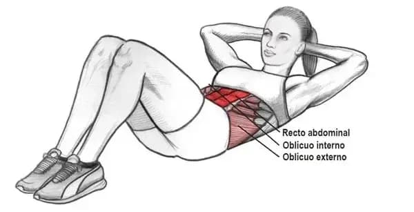 Los secretos de los músculos abdominales: tipos, funciones y ejercicios Los secretos de los músculos abdominales: tipos, funciones y ejercicios