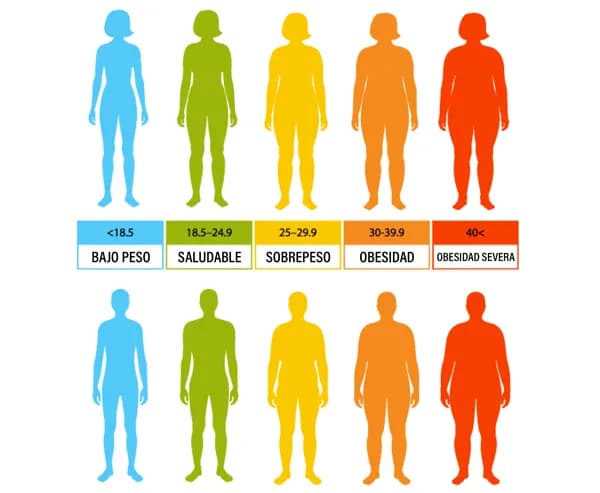 Masa muscular ideal en kg: ¿Estás por debajo de lo saludable? Masa muscular ideal en kg: ¿Estás por debajo de lo saludable?